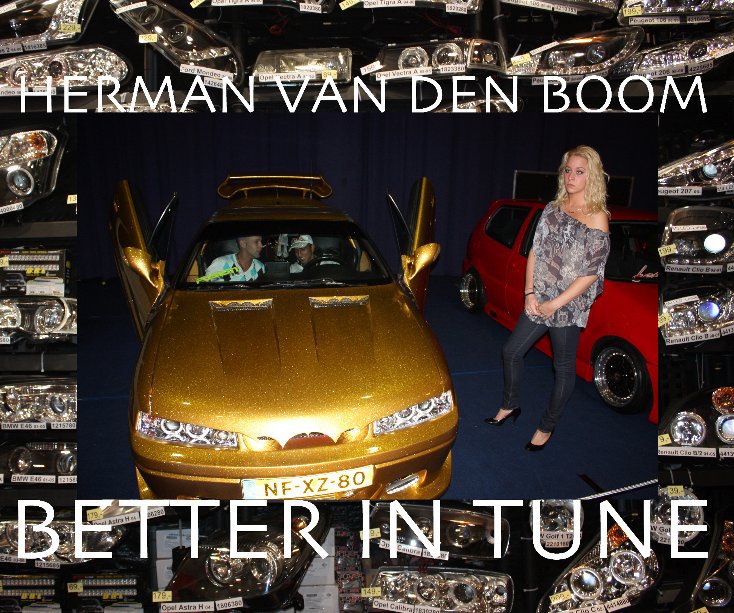 View BETTER in TUNE by HERMAN VAN DEN BOOM