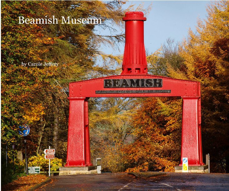 View Beamish Museum by Carole Jeffery