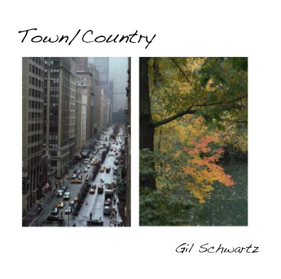 Town/Country book cover