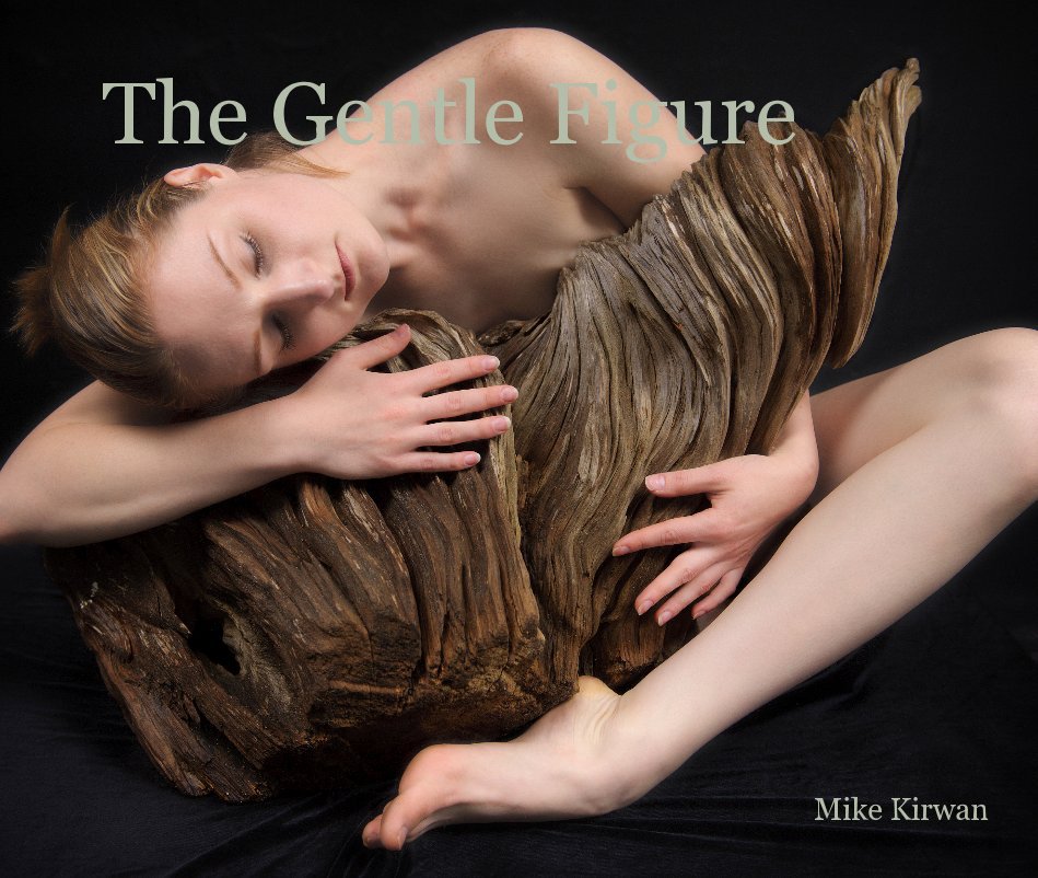 View The Gentle Figure by Mike Kirwan
