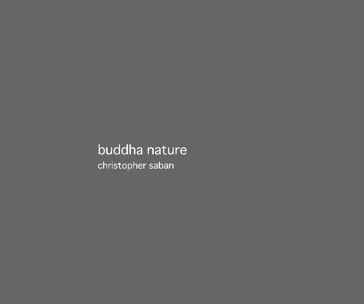 View buddha nature by christopher saban