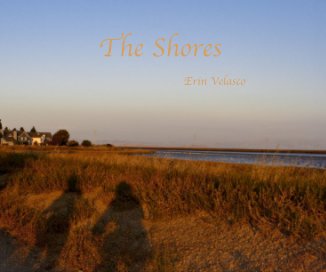 The Shores book cover