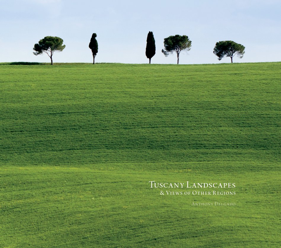 View Tuscany Landscapes by Anthony Delgado