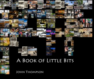 A Book of Little Bits book cover