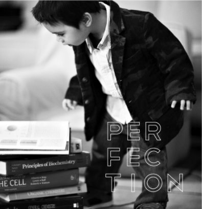 Perfection book cover