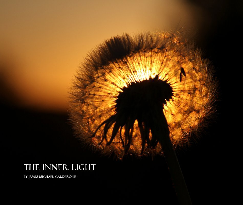 View THE INNER LIGHT by JAMES MICHAEL CALDERONE