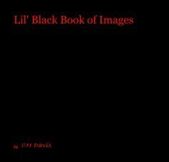 Lil' Black Book of Images book cover