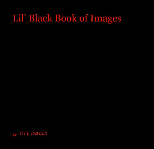 View Lil' Black Book of Images by CH Davis