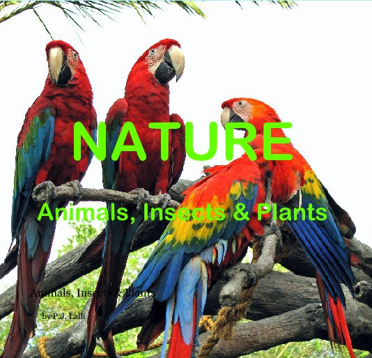 View NATURE (Animals, Insects & Plants) by by P.J. Lalli