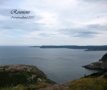Reunions: Newfoundland 2010 book cover
