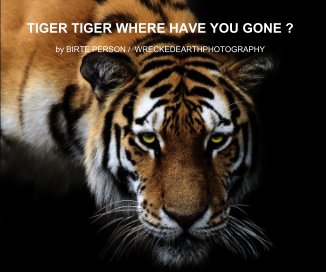 TIGER TIGER WHERE HAVE YOU GONE ? book cover