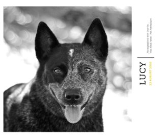 Lucy book cover