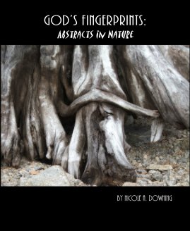 GOD'S FINGERPRINTS: Abstracts in Nature book cover