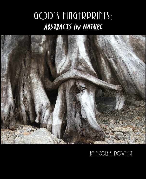 View GOD'S FINGERPRINTS: Abstracts in Nature by Nicole A. Downing
