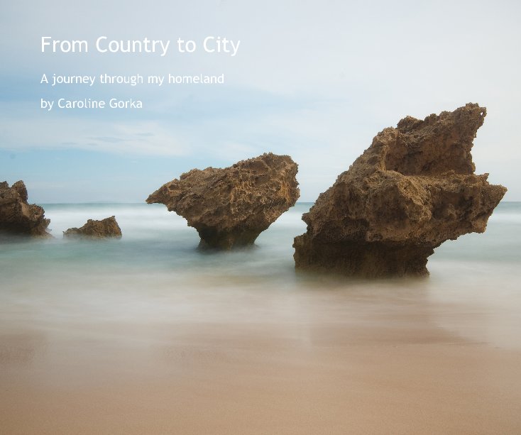 View From Country to City by Caroline Gorka