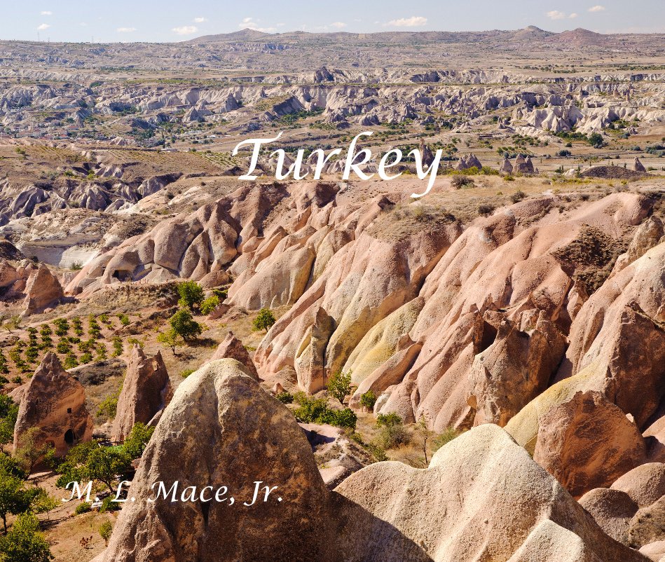 View Turkey M. L. Mace, Jr. by mmace