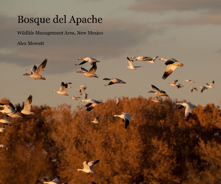 View Bosque del Apache by Alex Mowatt