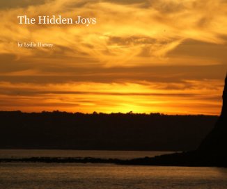 The Hidden Joys book cover