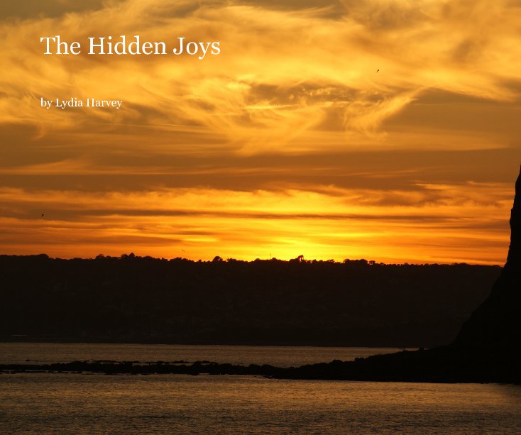 Ver The Hidden Joys por Lydia Harvey