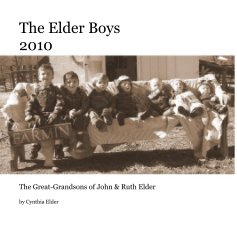 The Elder Boys 2010 book cover