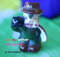 All the other photographs book cover