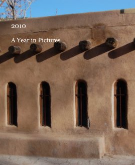 2010 A Year in Pictures book cover