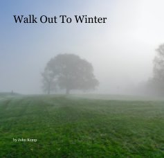 Walk Out To Winter book cover