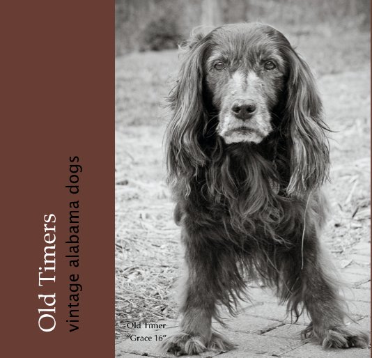 View Old Timers by Irene Thames Gardner
