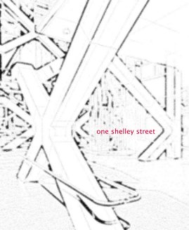 One Shelley Street book cover