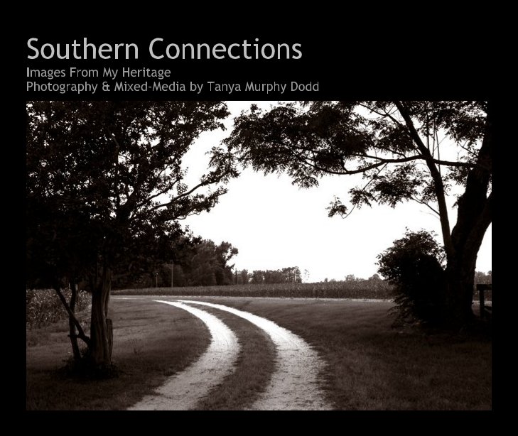 View Southern Connections by Tanya Murphy