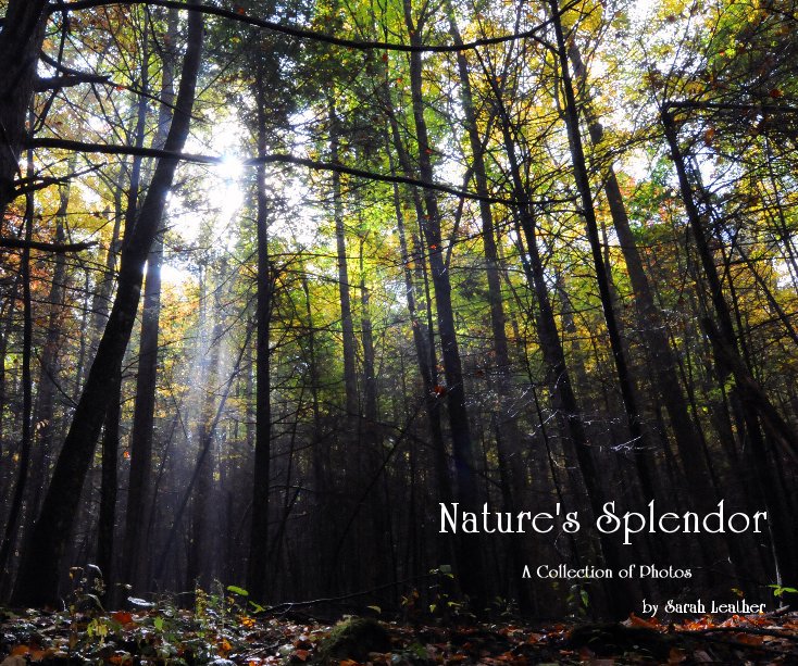 View Nature's Splendor by Sarah Leather