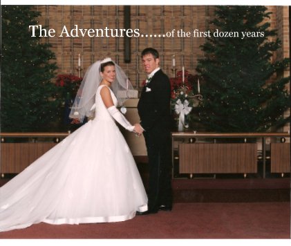 The Adventures......of the first dozen years book cover