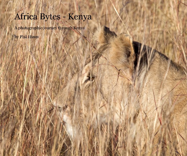 View Africa Bytes - Kenya by Phil Hines