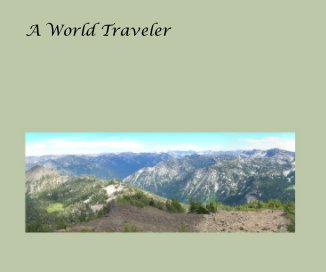 A World Traveler book cover