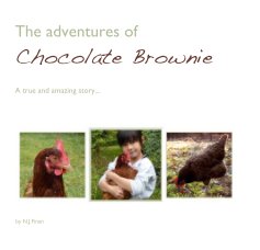The adventures of Chocolate Brownie book cover