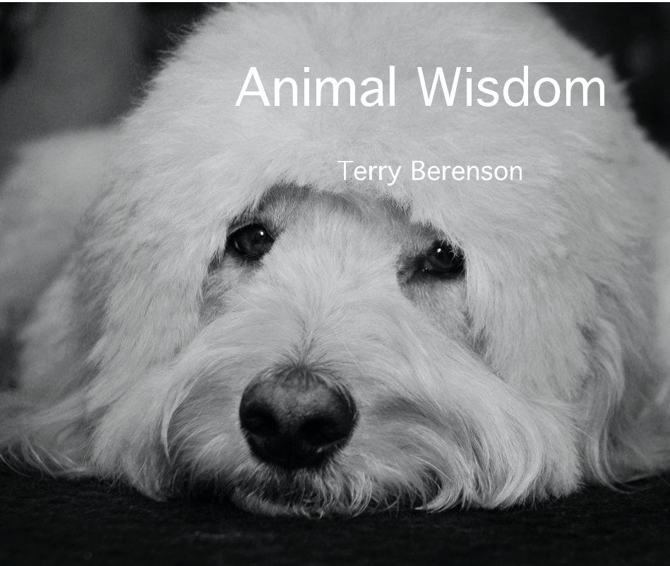 Ver Animal Wisdom por Terry Berenson