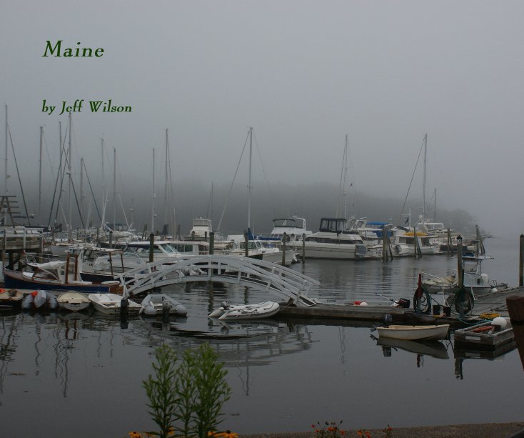View Maine by Jeff Wilson