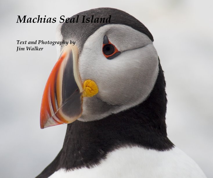 Visualizza Machias Seal Island di Text and Photography by Jim Walker