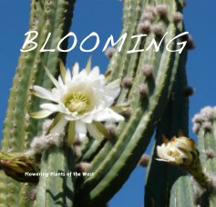 BLOOMING book cover