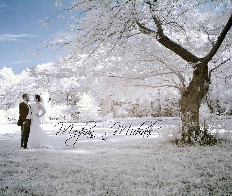 View Meghan and Michael by Pittelli Photography
