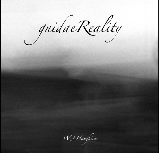View Reading Reality by William J Haughton