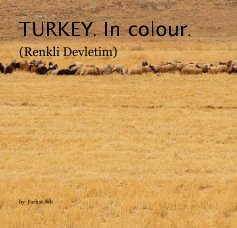 TURKEY. In colour. (Renkli Devletim) book cover