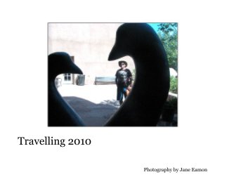 Travelling 2010 book cover