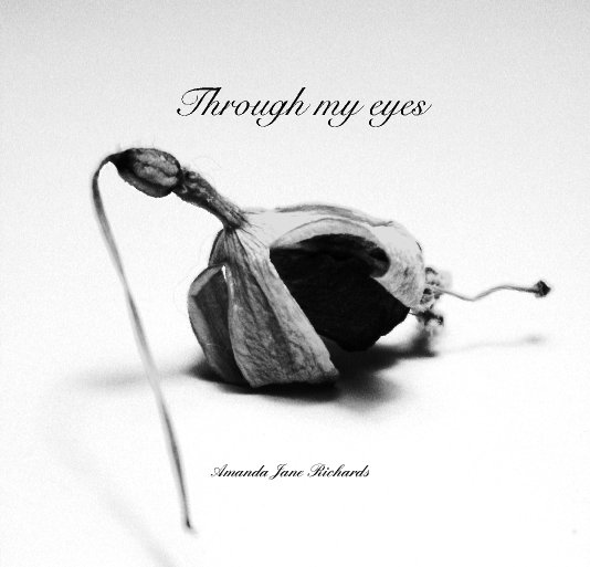 View Through my eyes by Amanda Jane Richards