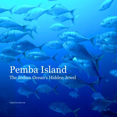 Pemba Island The Indian Ocean's Hidden Jewel book cover