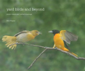 yard birds and beyond book cover