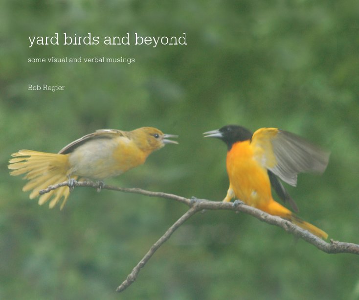 View yard birds and beyond by Bob Regier