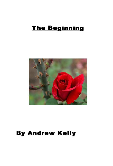 View The Beginning by Andrew Kelly