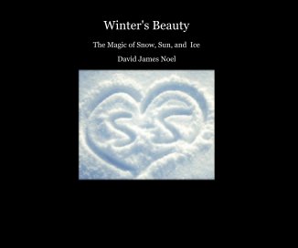 Winter's Beauty book cover