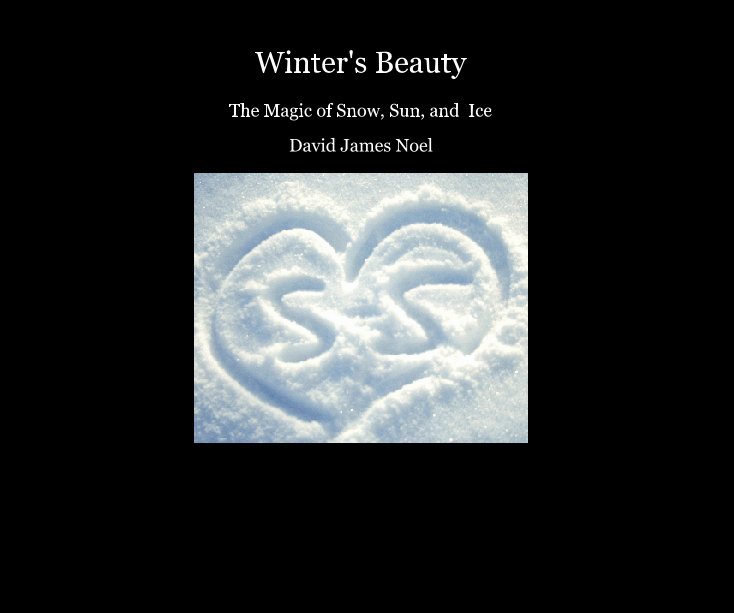 View Winter's Beauty by David James Noel